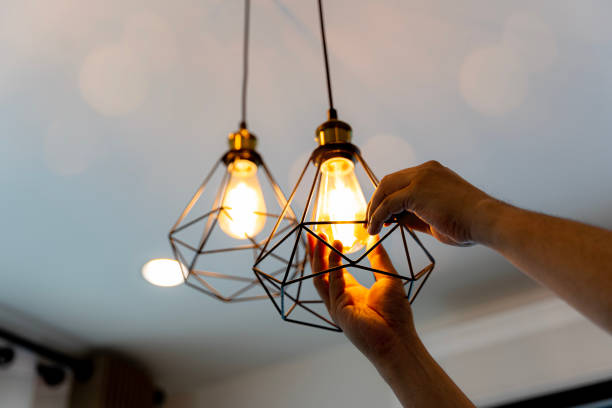 Best Outdoor Lighting Installation  in Wenona, IL