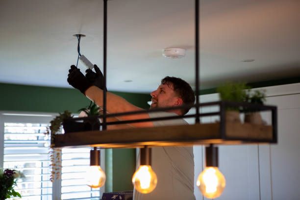 Best Electrical Upgrades for Homes  in Wenona, IL