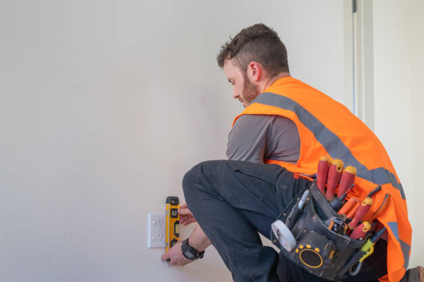 Best Electrician for Home Renovation  in Wenona, IL