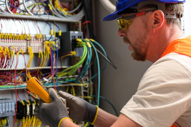 Best Local Electrician Companies  in Wenona, IL