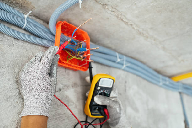 Best Home Electrical Repair  in Wenona, IL