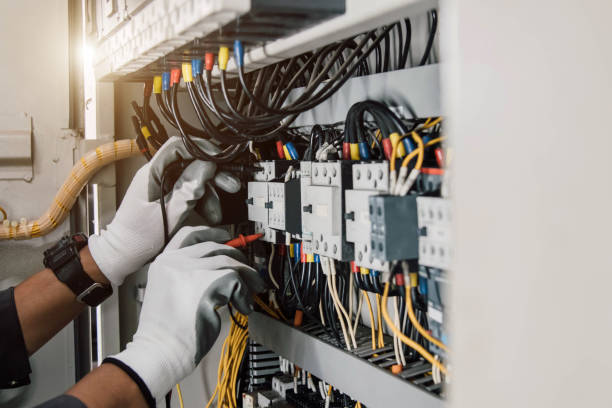 Best Electrical Outlet Repair  in Wenona, IL